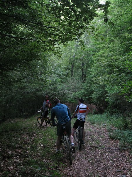 Bicicleta_montania_431.JPG