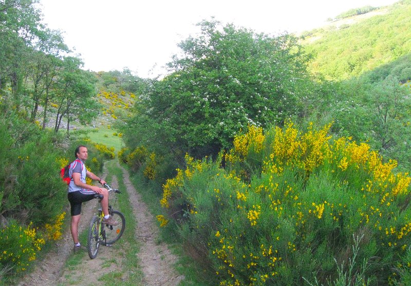 Bicicleta_montania_441.JPG