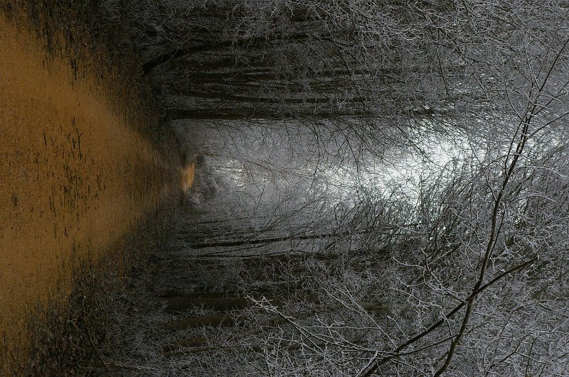 Descenso_Alar_Herrera_251.JPG