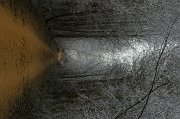 Descenso_Alar_Herrera_251
