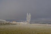 Descenso_Alar_Herrera_321
