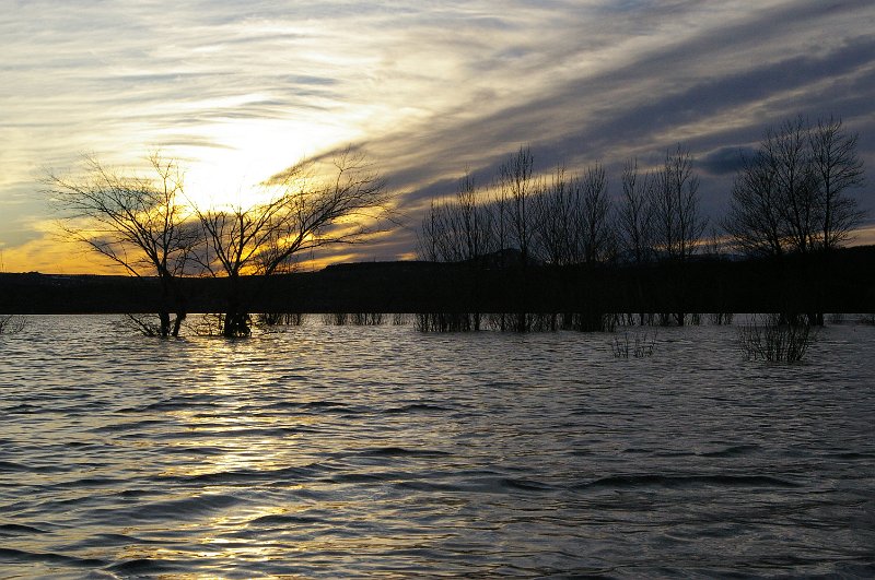 Pantano_Aguilar_381.JPG