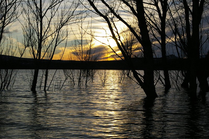 Pantano_Aguilar_421.JPG