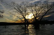 Pantano_Aguilar_401
