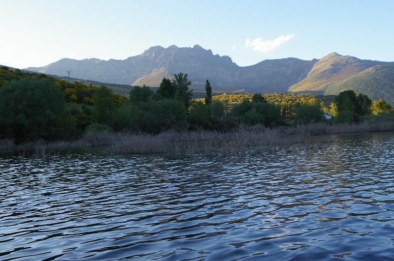 Pantano_Camporredondo_311.JPG