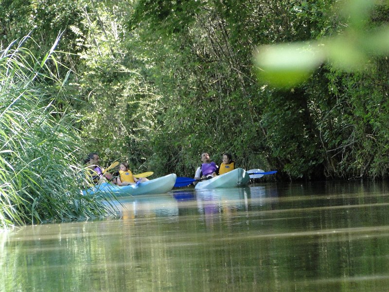 Presa_San_Andres_141.JPG