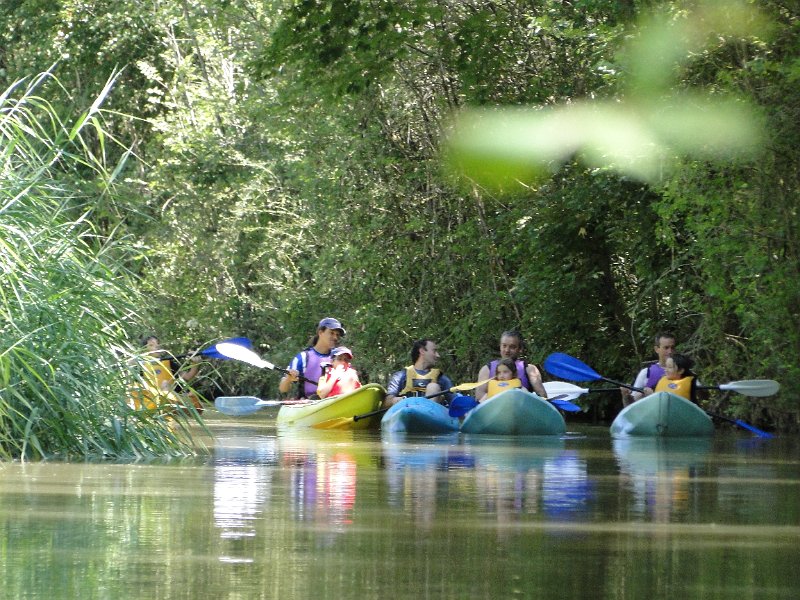 Presa_San_Andres_151.JPG