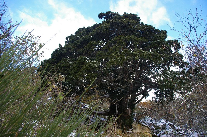 Presentacion_1221.JPG